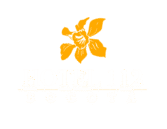 hotel112bogota.com