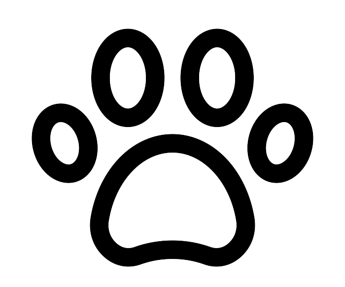 noun pets 5520967